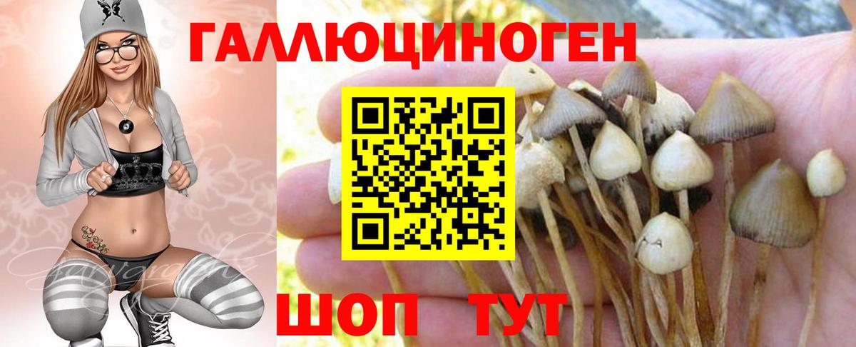 Псилоцибиновые грибы Psilocybe  где купить наркоту  Кандалакша  Вход с VPN 