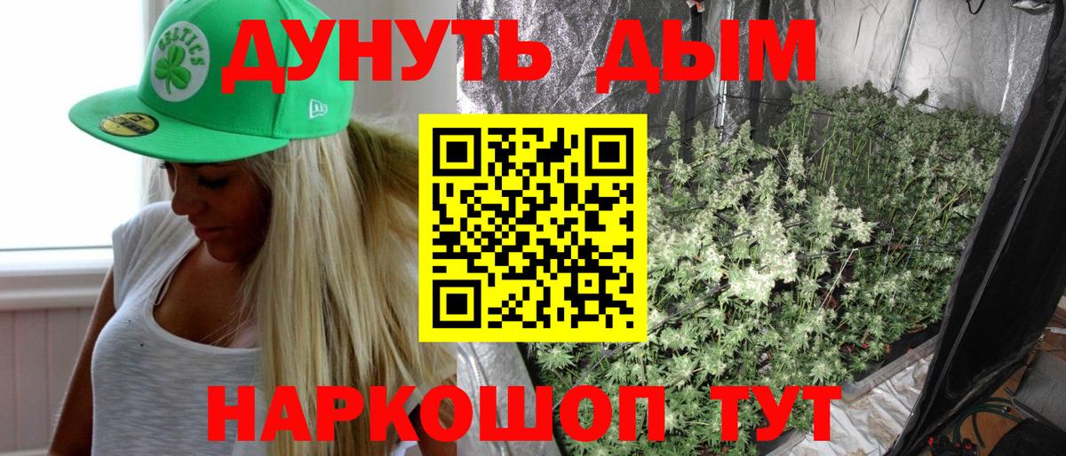 Кандалакша  Бошки Шишки OG Kush  Марихуана план  Вход с VPN 